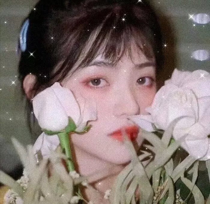 花街神女